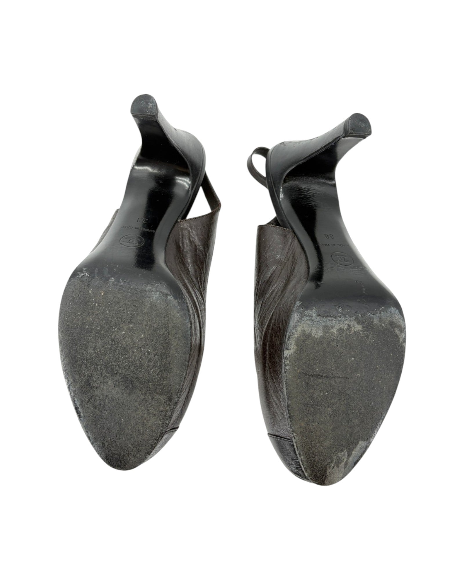 Pair of black shoe trees on a white background