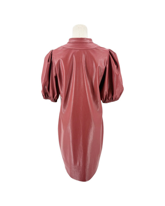 A dusty rose faux leather dress with puff sleeves, shown from the back on a mannequin against a white background.