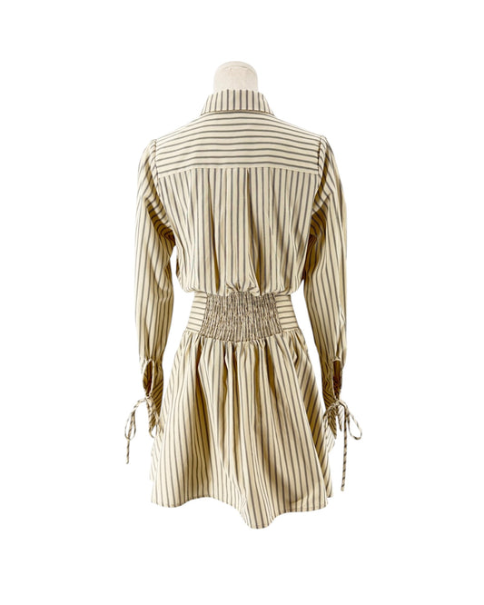 Striped shirt dress, point collar, clean button-front placket closure, distinct smocked and gathered detailing, long sleeves detailed with adjustable drawstring/tie accent at cuffs on a mannequin on a white background