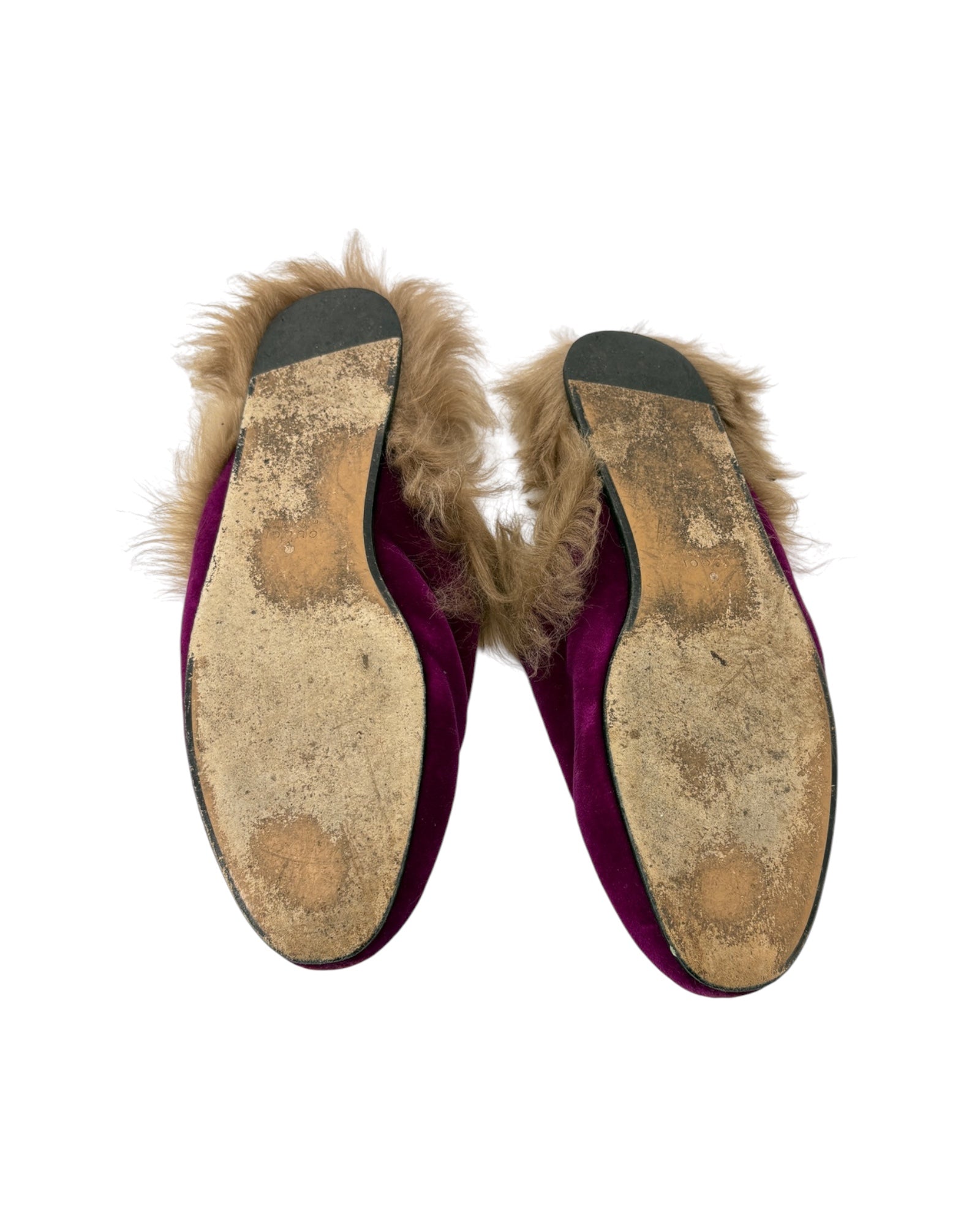 Pair of slippers with fur trim on a white background