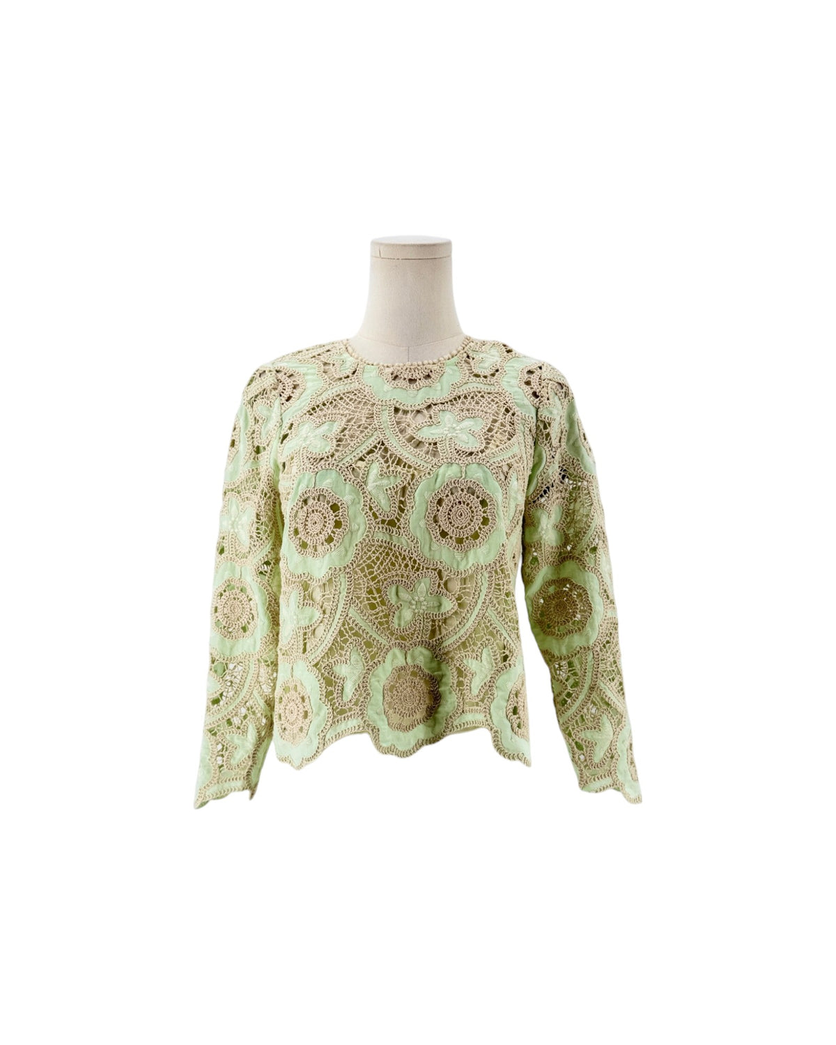Long sleeve, minty pastel green and off white cream, tactile open-work lace, scalloped edge. On a white background on a mannequin.