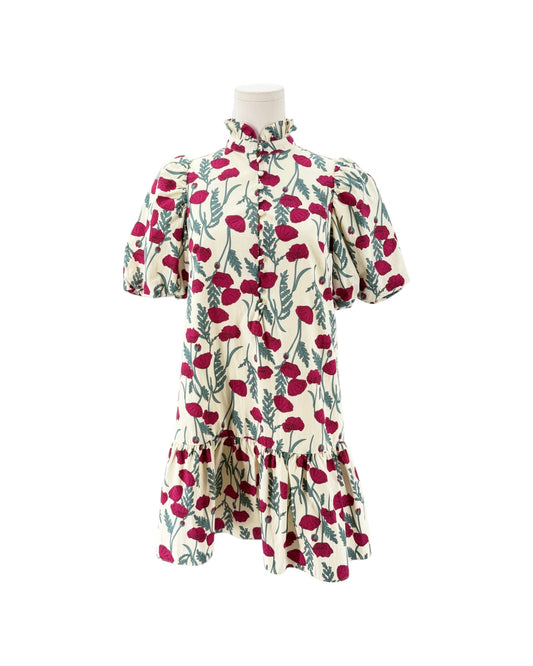 Floral mini dress with a ruffle neck on a white background on a mannequin