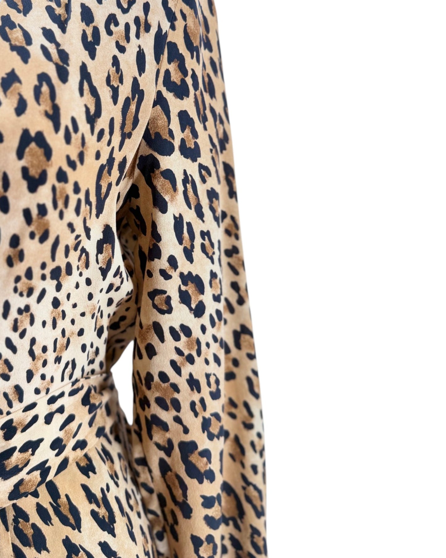 Frame Sgt. Pepper Silk Leopard Dress