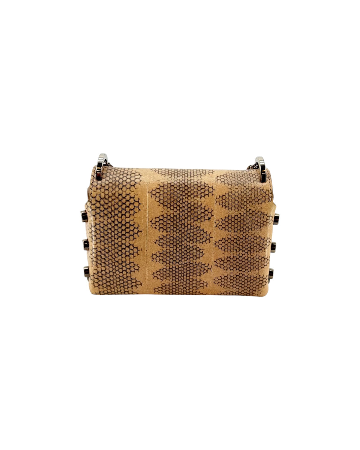 Genuine Python / Snake leather handbag with silver chain hardware and strap on a white background