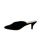 Black high-heeled shoe on a white background