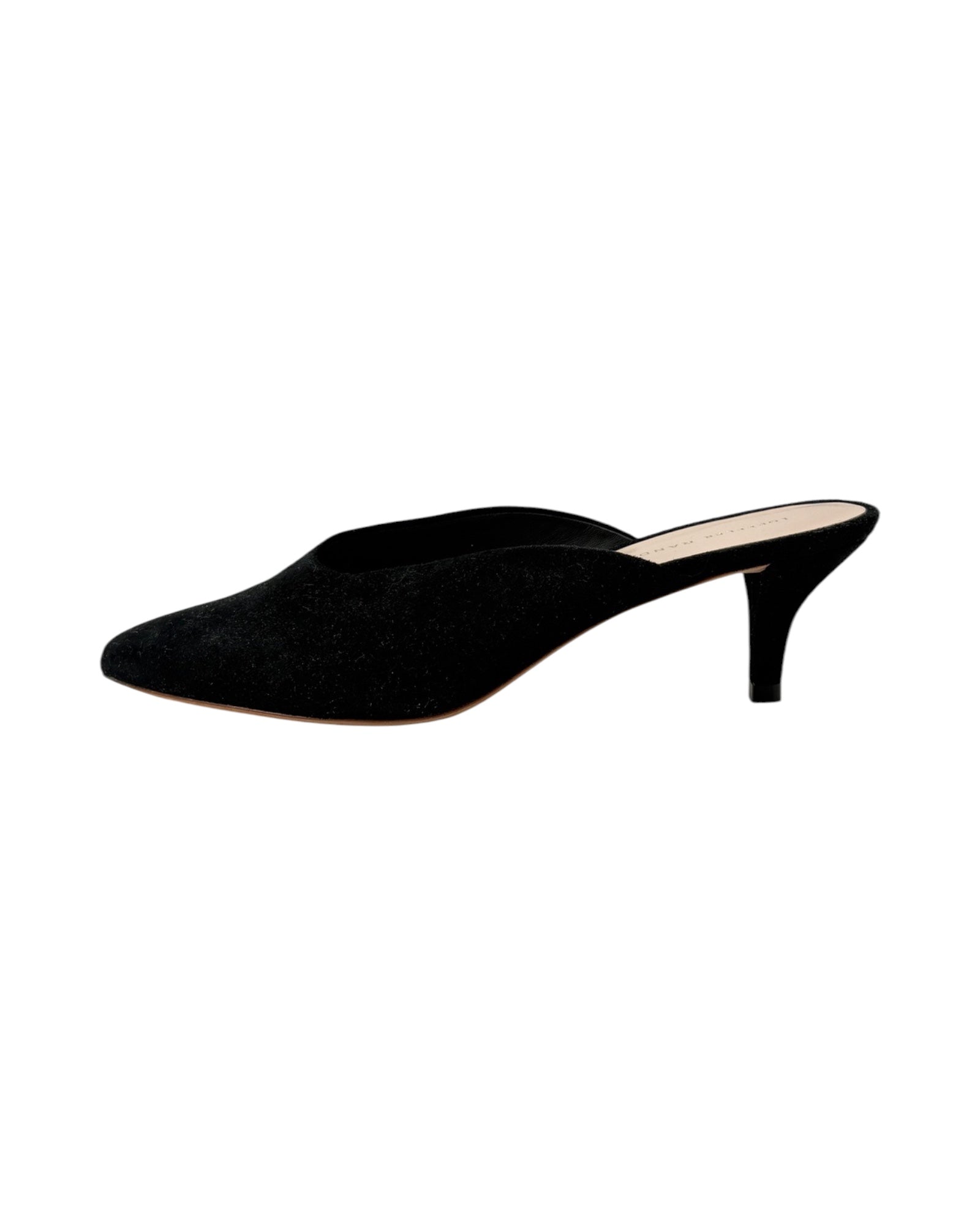 Black high-heeled shoe on a white background