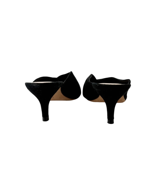Pair of black high-heeled shoes on a white background
