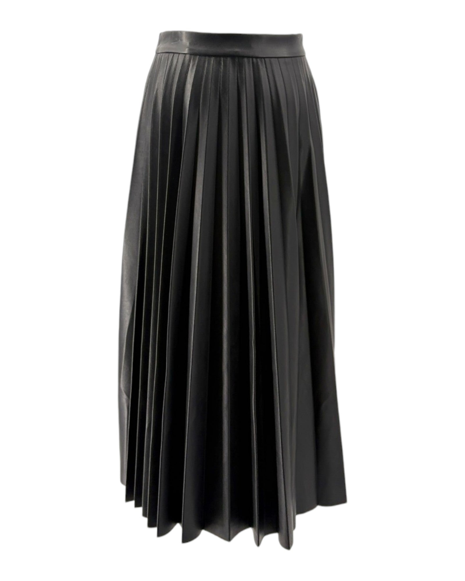 Black pleated skirt on a white background