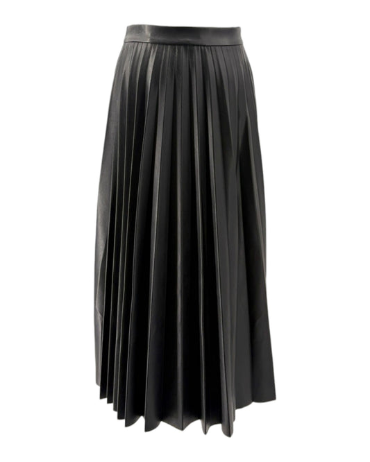 Black pleated skirt on a white background