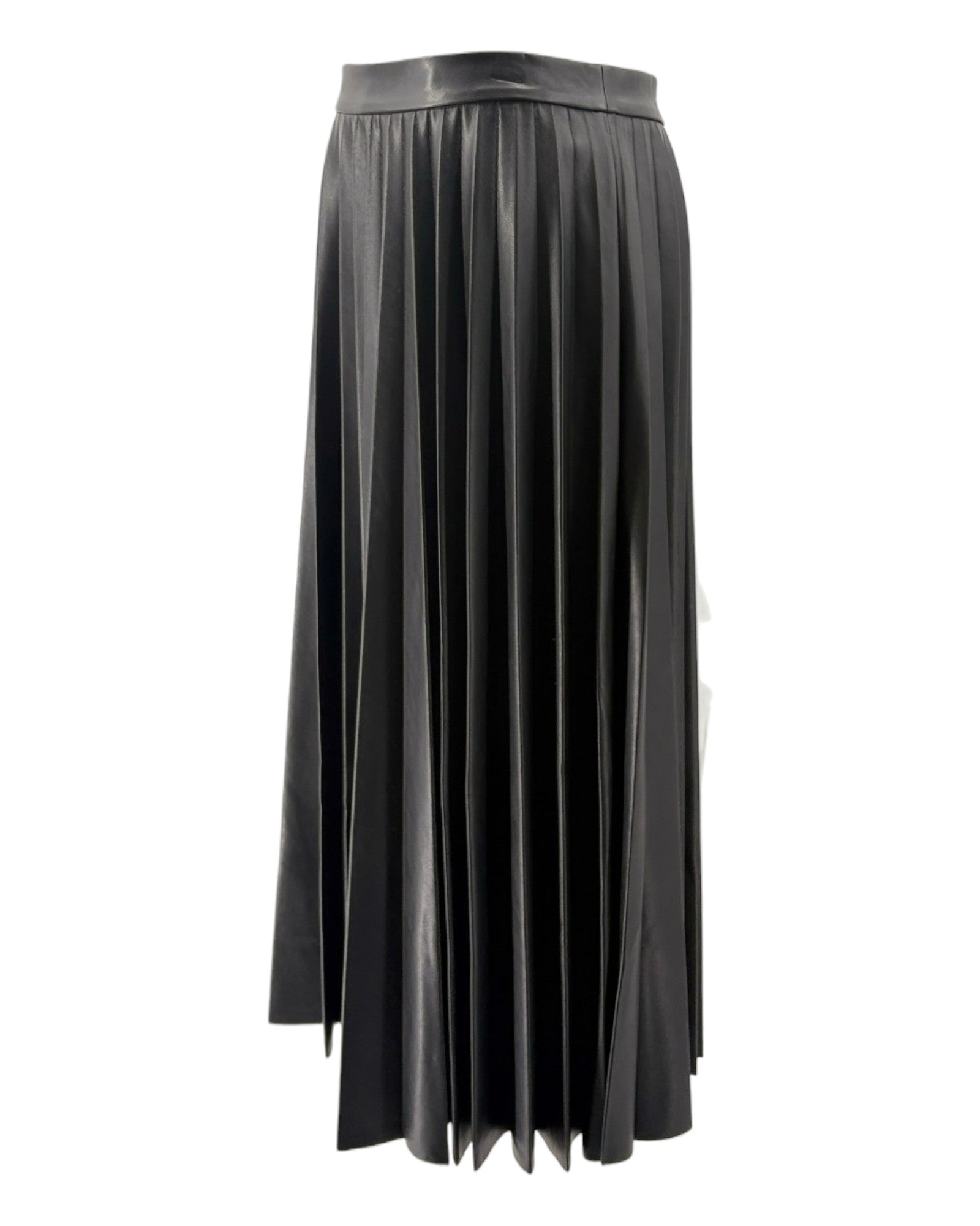 Black pleated skirt on a white background