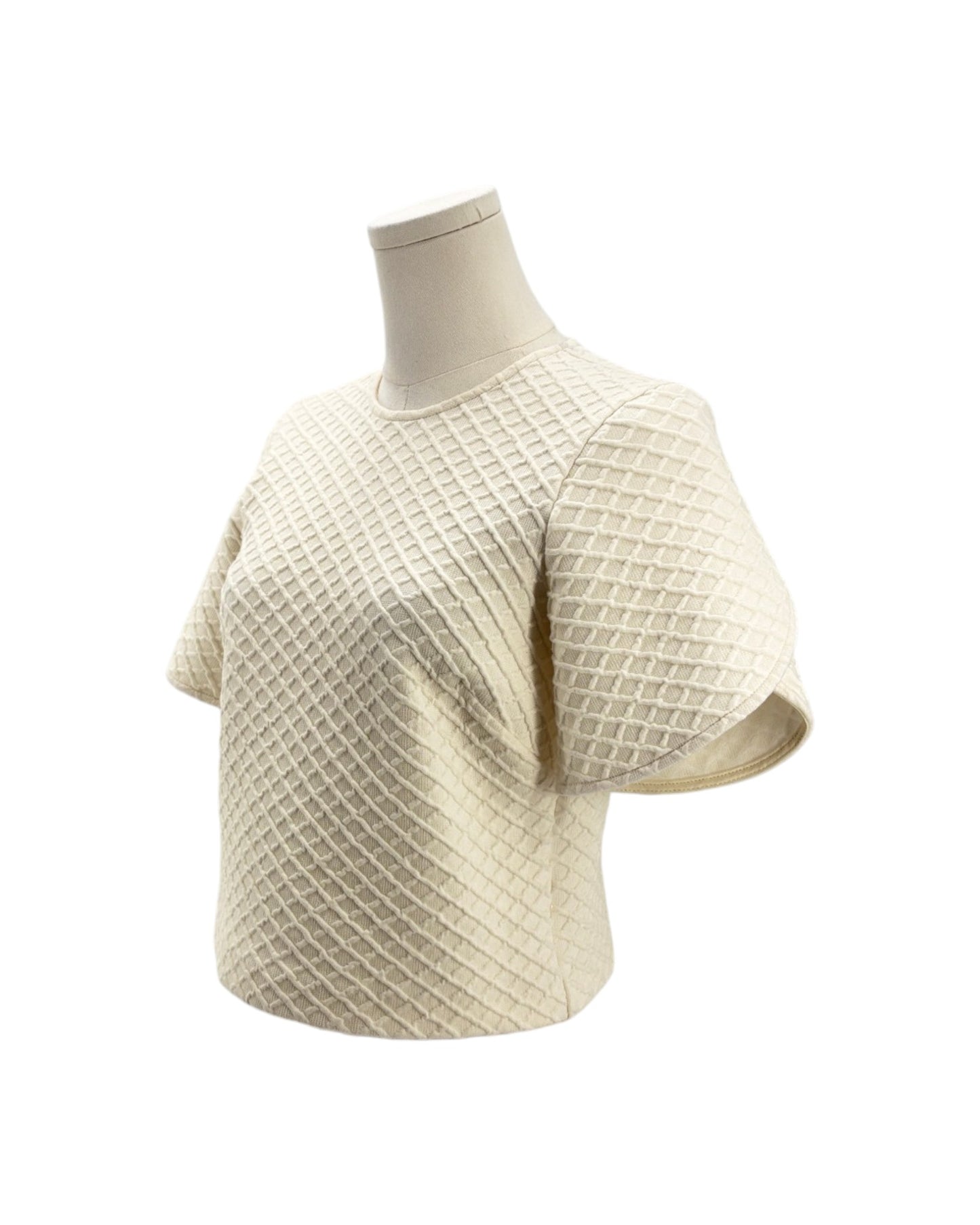 Beige textured short-sleeve top on a mannequin against a white background