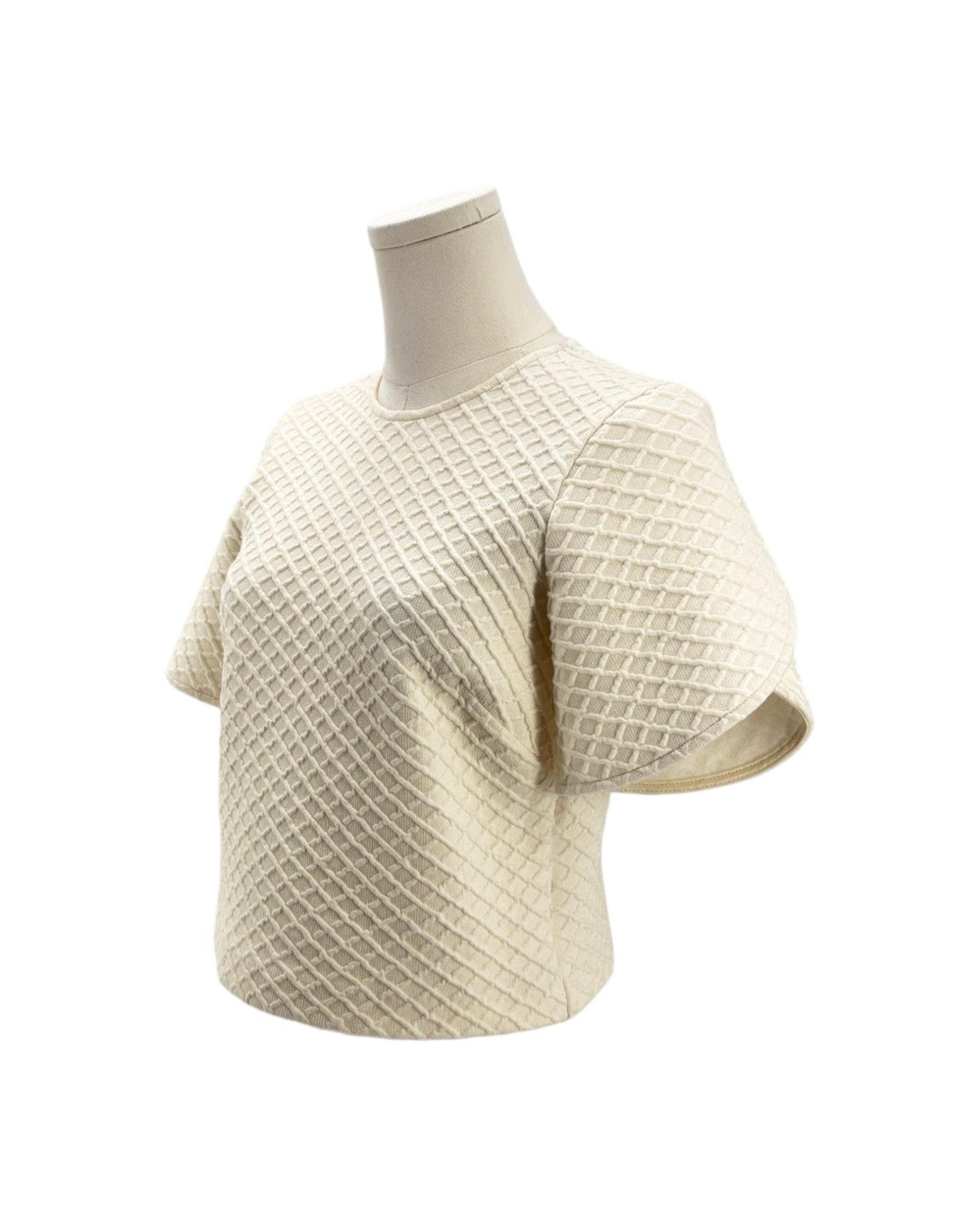 Beige textured short-sleeve top on a mannequin against a white background