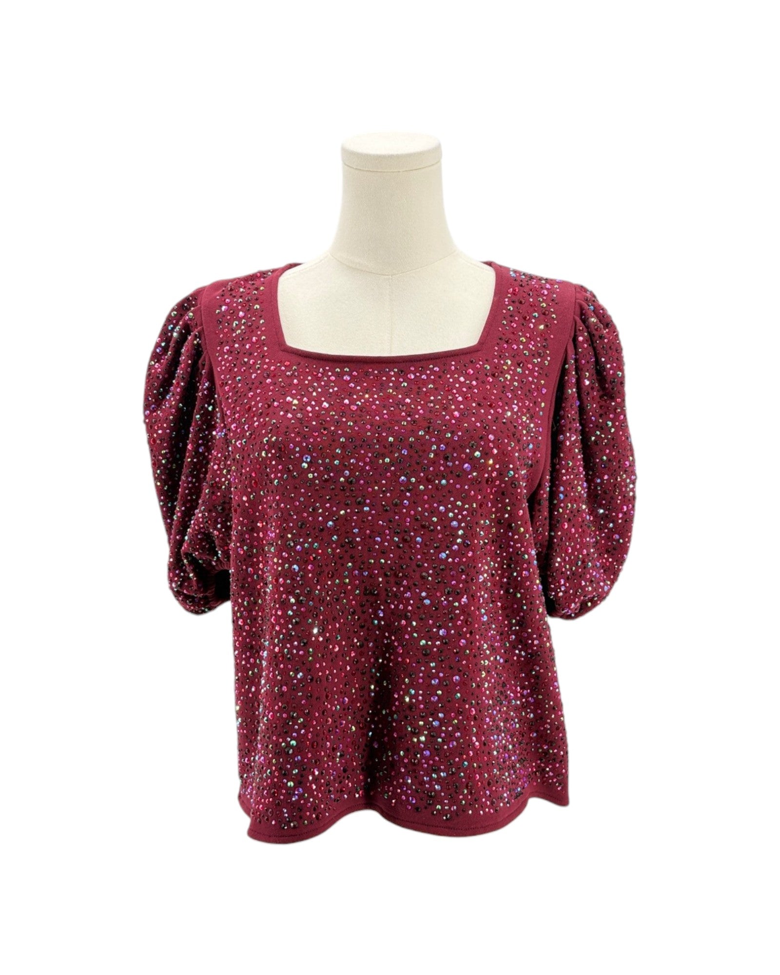 Solid Embellished Top on a mannequin on a white background