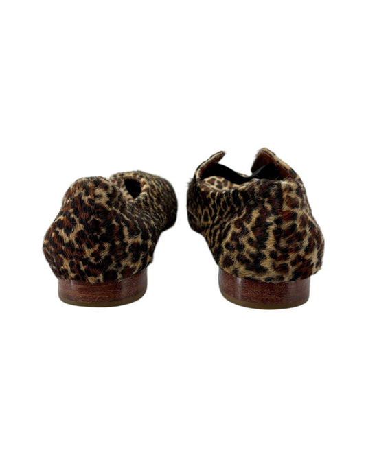Pair of leopard print shoes on a white background