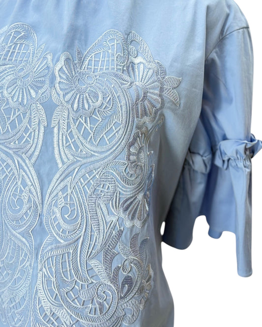 Ted Baker Cottoned On Glarina Ruffle Sleeve Top