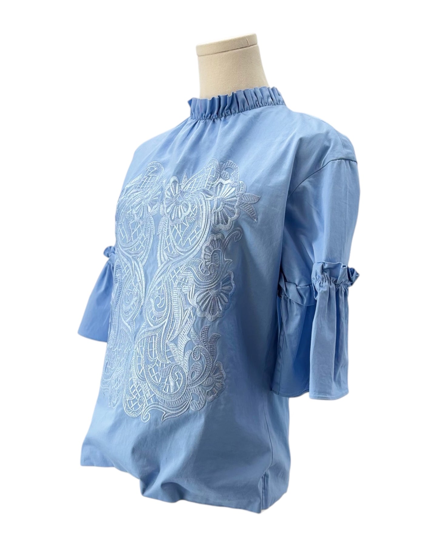 Ted Baker Cottoned On Glarina Ruffle Sleeve Top