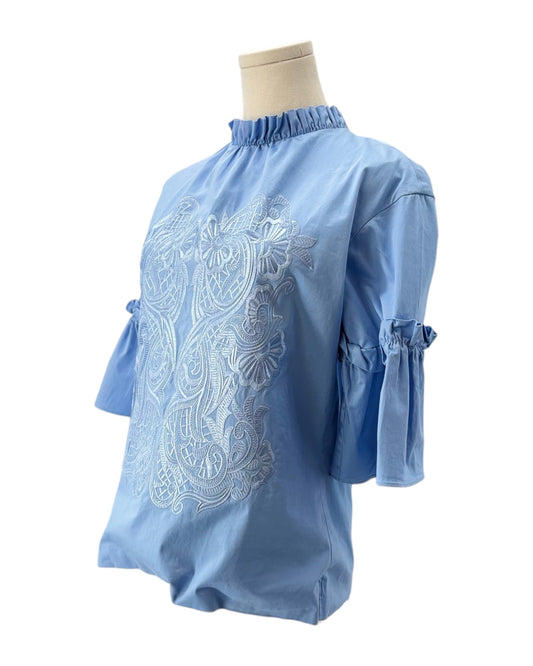 Ted Baker Cottoned On Glarina Ruffle Sleeve Top