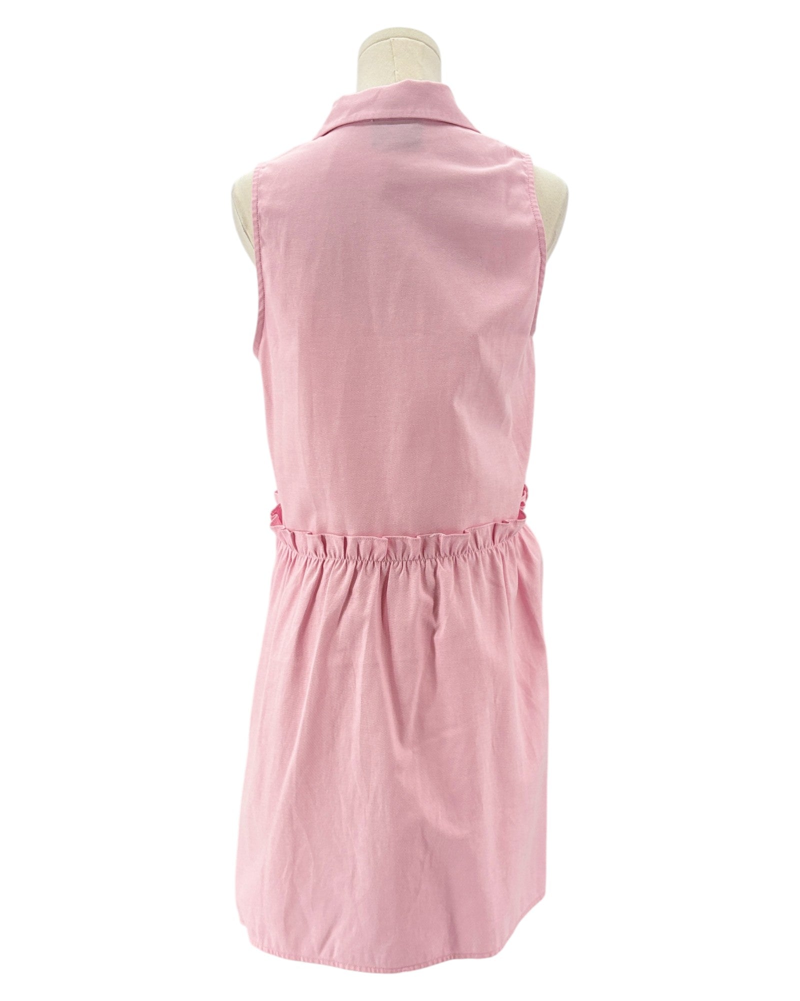 Tuckernuck pink sleeveless button down dress 
