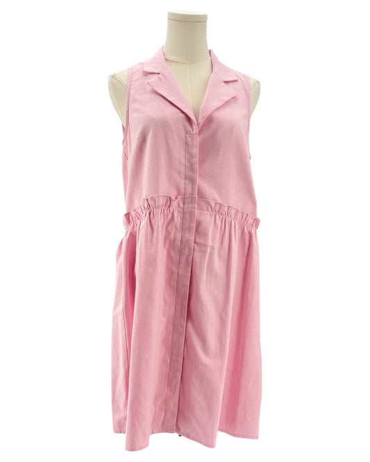 Tuckernuck pink sleeveless button down dress 