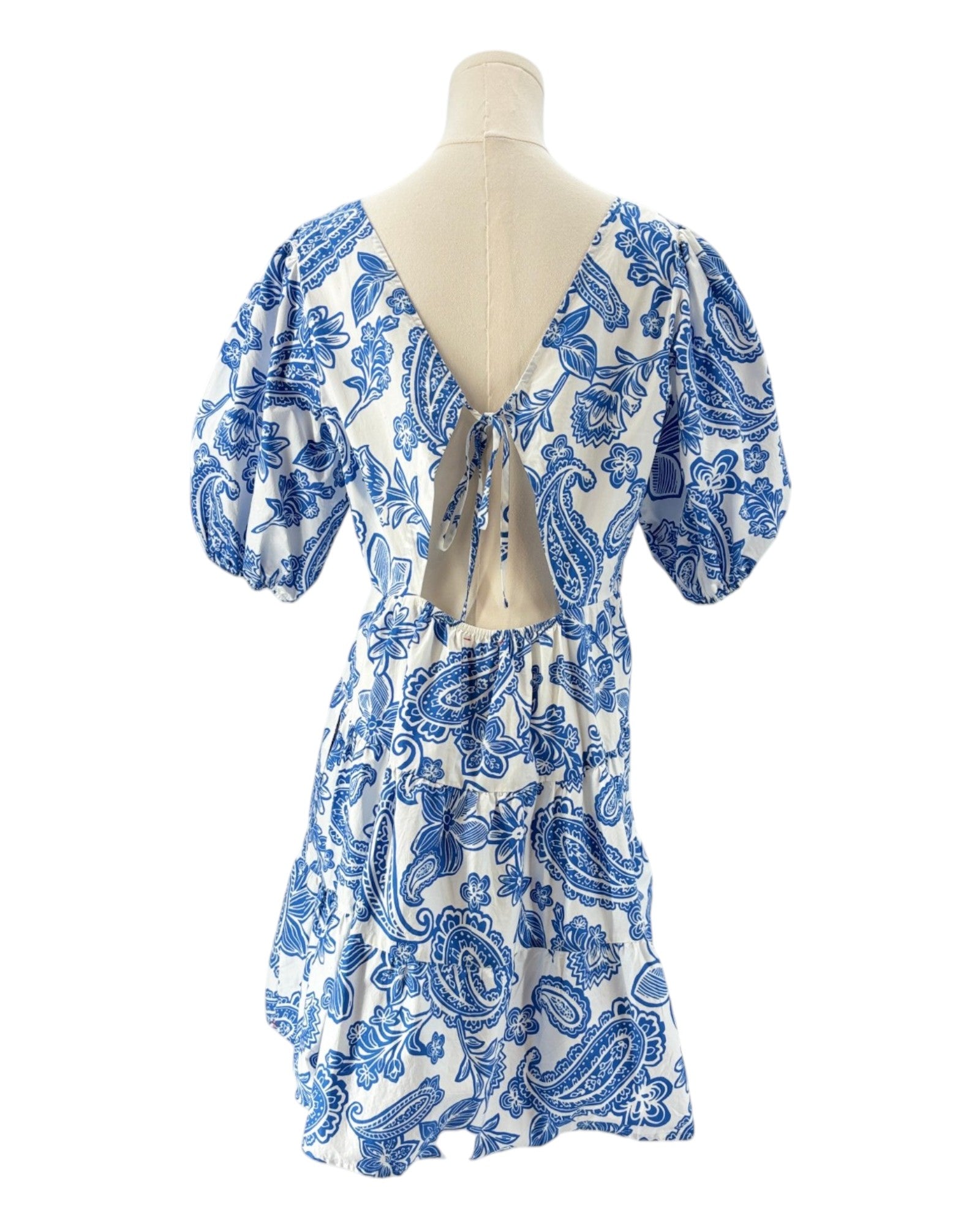Xirena blue and white floral patterned dress