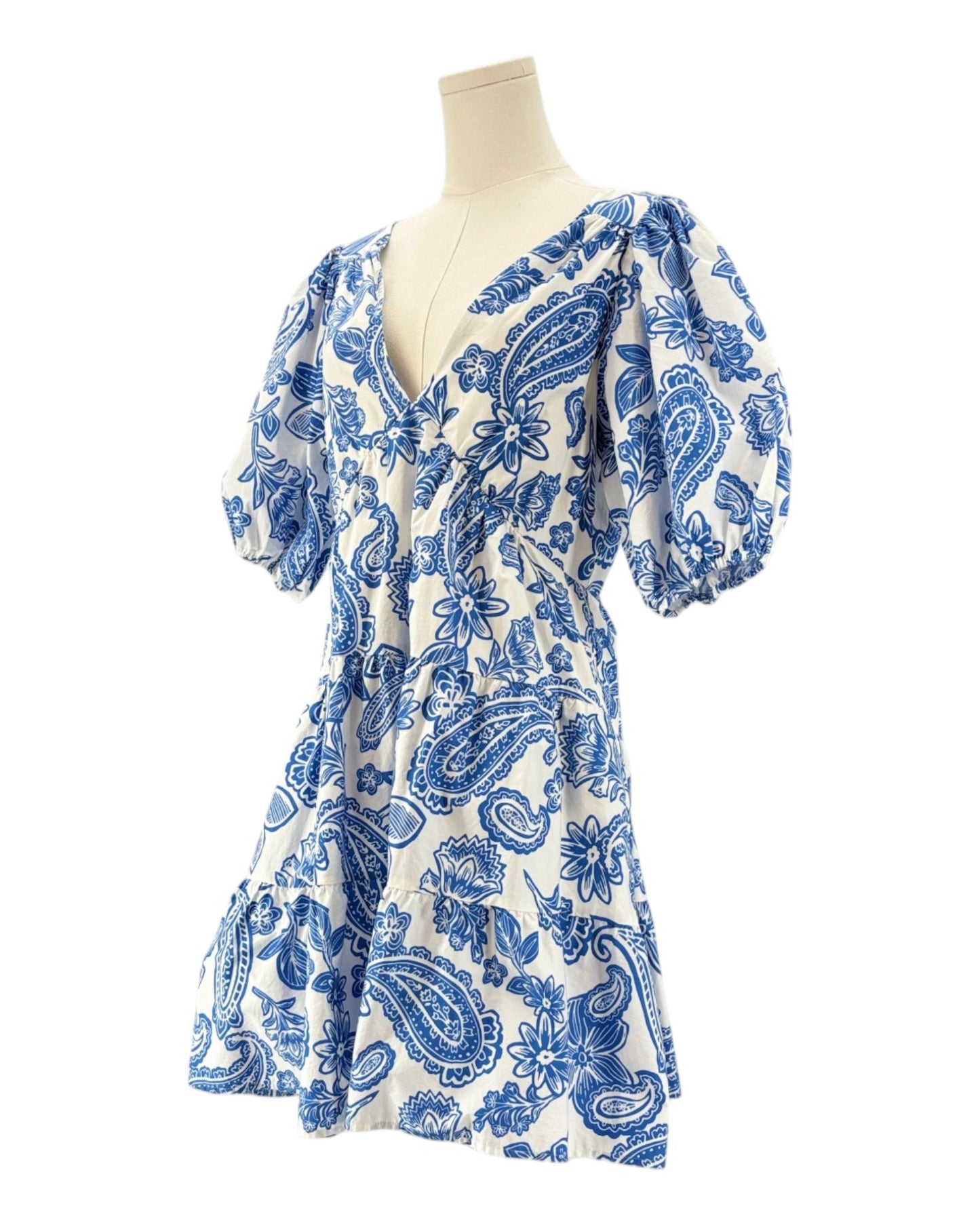 Xirena blue and white floral patterned dress
